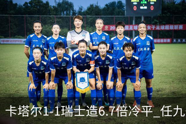 卡塔尔1-1瑞士造6.7倍冷平 任九开53注25.3万元